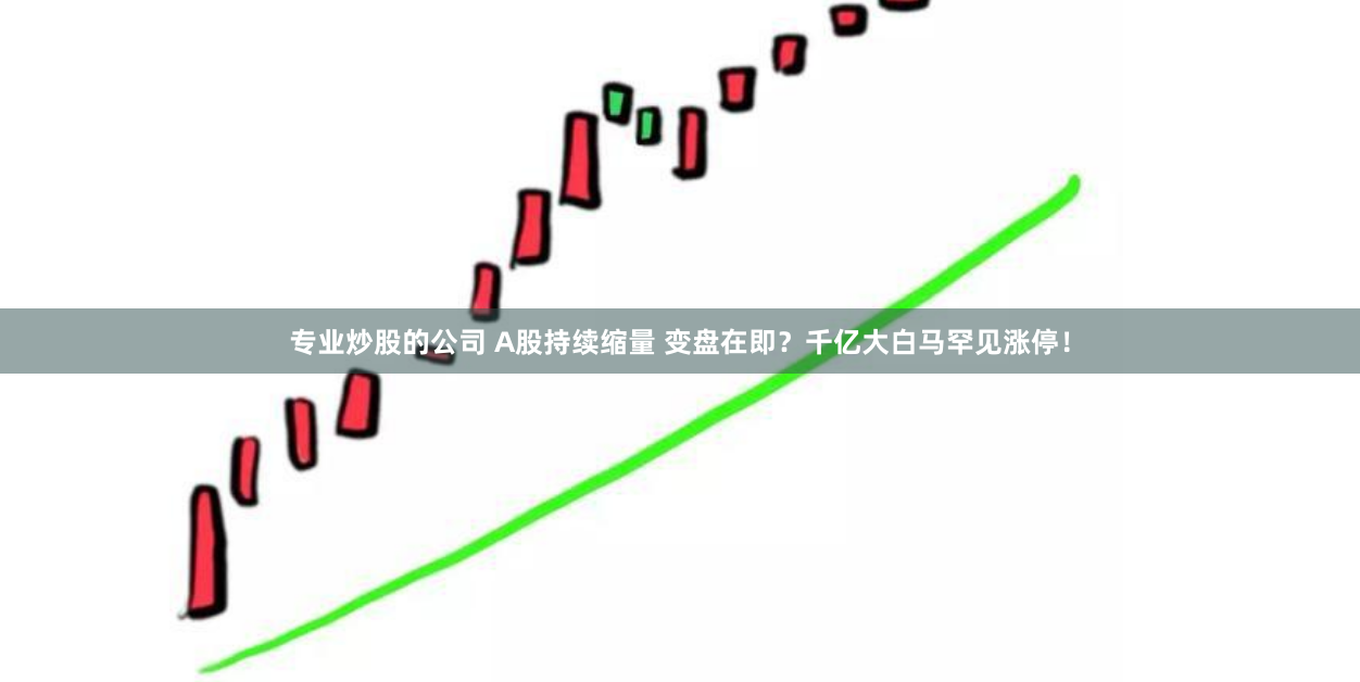 专业炒股的公司 A股持续缩量 变盘在即？千亿大白马罕见涨停！