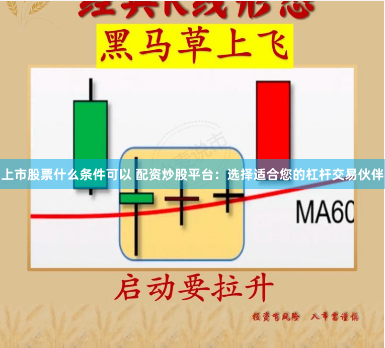 上市股票什么条件可以 配资炒股平台：选择适合您的杠杆交易伙伴