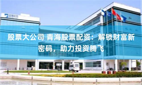 股票大公司 青海股票配资：解锁财富新密码，助力投资腾飞