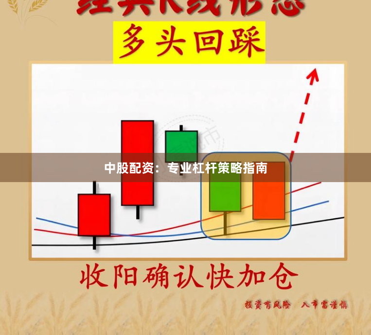 中股配资:专业杠杆策略指南