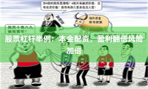 股票杠杆举例：本金配资，盈利翻倍风险加倍