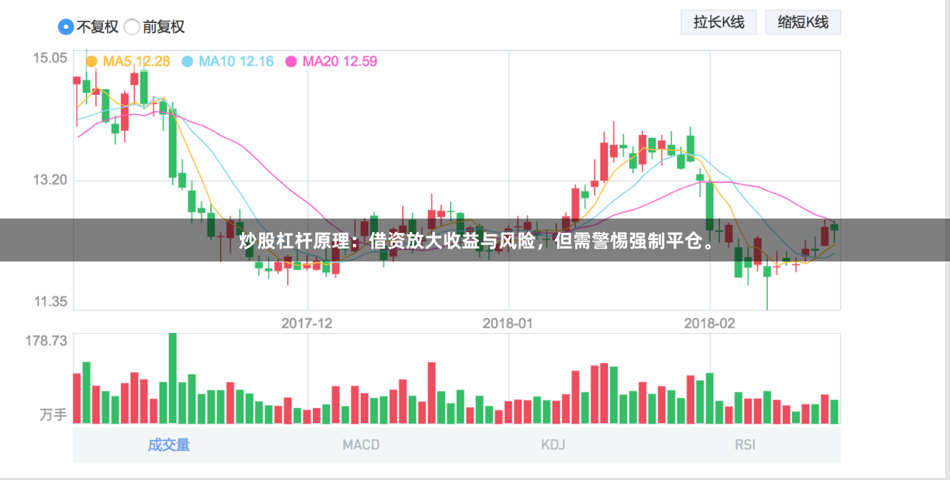 炒股杠杆原理：借资放大收益与风险，但需警惕强制平仓。