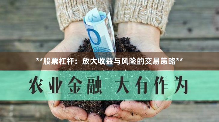 **股票杠杆：放大收益与风险的交易策略**