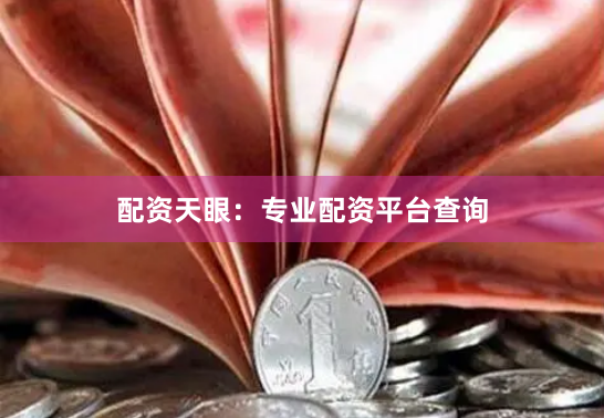 配资天眼：专业配资平台查询